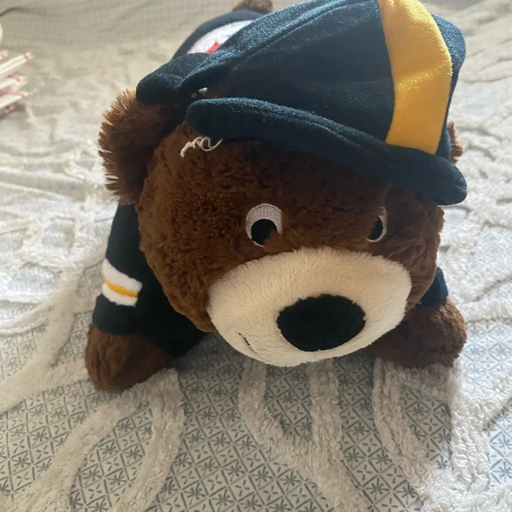 NFL Pittsburgh Steelers Bear Pillow Pet in good used condition